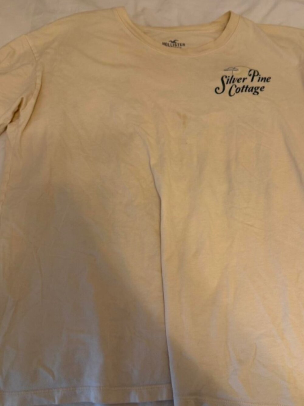 Hollister Silver Pine Cottage Short Sleeve T-shirt